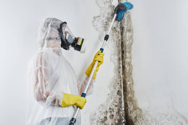 Water Damage Restoration in Mount Ivy, NY